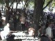 g898.jpg
