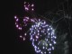 Calgary Stampede Fireworks