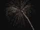 Calgary Stampede Fireworks