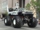 Calgary Stampede Parade