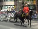Calgary Stampede 2003