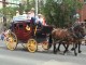 Calgary Stampede 2003