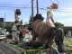 Calgary Stampede Pre Parade