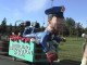 Calgary Stampede Pre Parade
