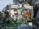 Calgary Stampede Parade