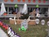 Halloween House