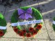 Calgary Remembrance Day