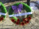 Calgary Remembrance Day