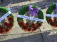 Calgary Remembrance Day