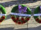 Calgary Remembrance Day