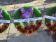 Calgary Remembrance Day