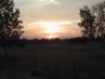 Thumbnail Sunset