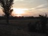 Thumbnail Sunset