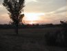 Thumbnail Sunset