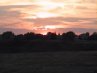 Thumbnail Sunset